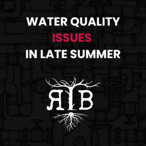 Bolingbrook water quality late summer issues