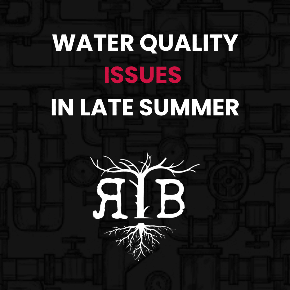 Bolingbrook water quality late summer issues