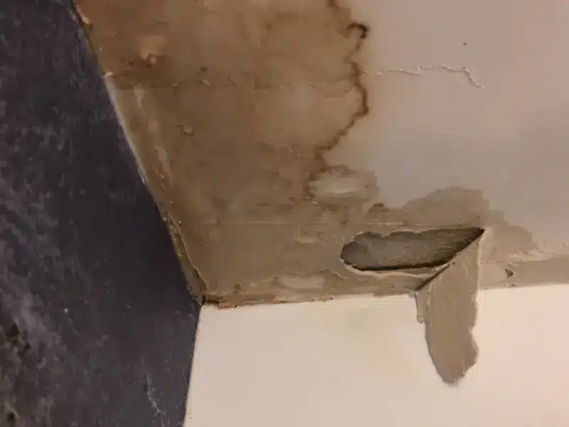 water stains on ceiling but no leak